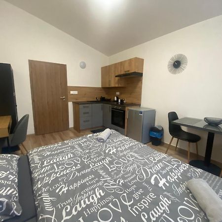 Cerna Ruze - Apartman 7 Пилзен Екстериор снимка