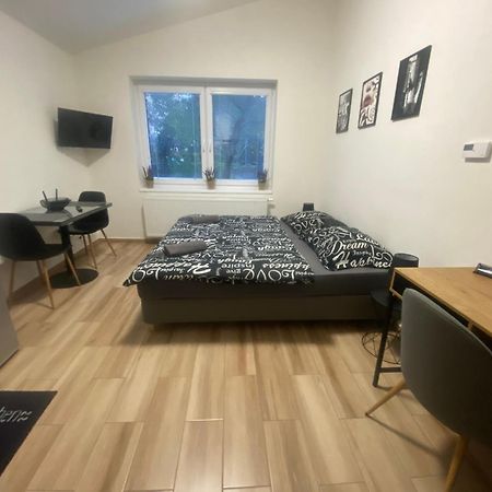 Cerna Ruze - Apartman 7 Пилзен Екстериор снимка