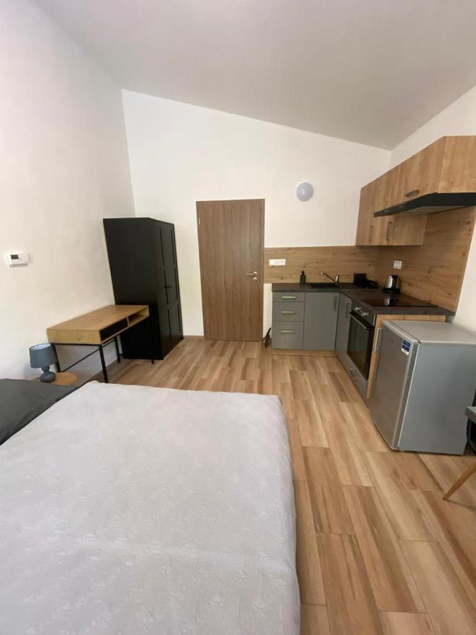 Cerna Ruze - Apartman 7 Пилзен Екстериор снимка