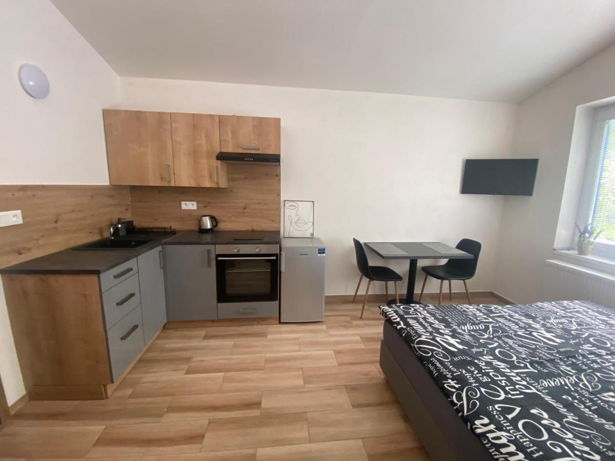 Cerna Ruze - Apartman 7 Пилзен Екстериор снимка
