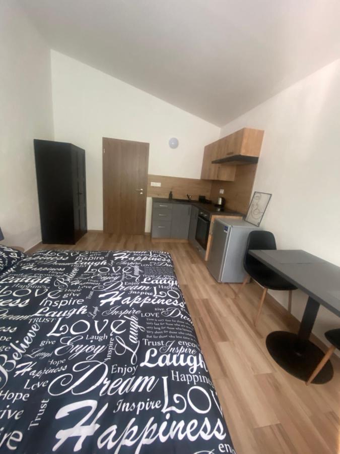 Cerna Ruze - Apartman 7 Пилзен Екстериор снимка