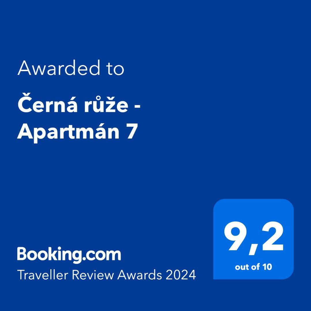 Cerna Ruze - Apartman 7 Пилзен Екстериор снимка